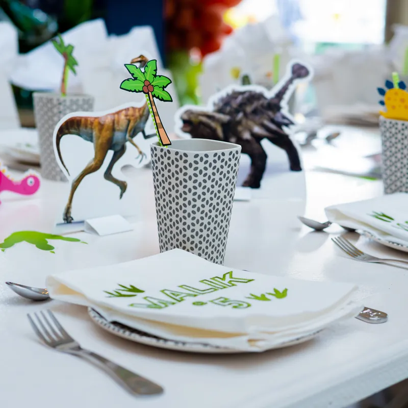 Playful dinosaur place setting with personalised details